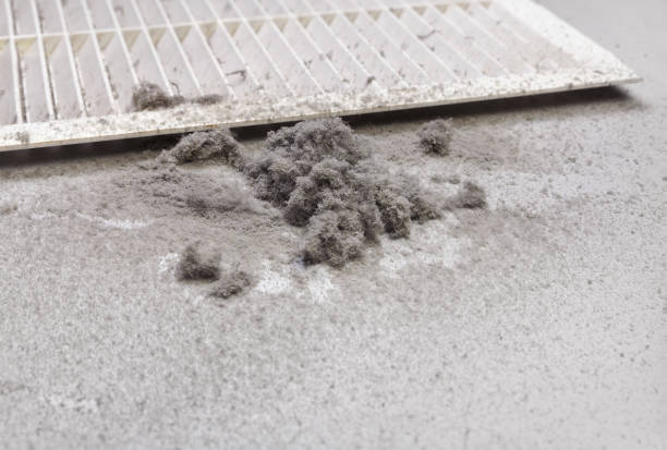 Best HVAC Air Duct Cleaning  in Lafayette, CA
